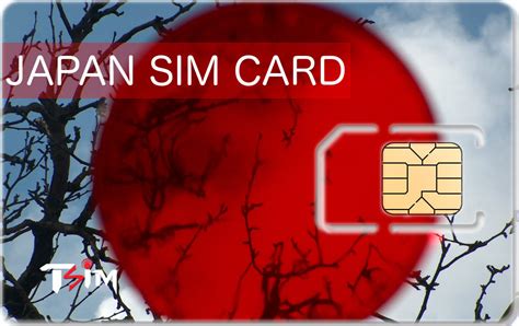 smart sim card roaming in japan|japan sim card for foreigners.